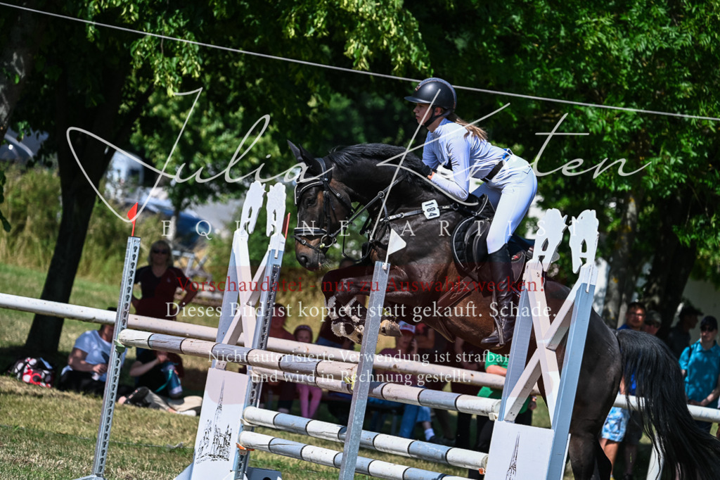 DSC_1555 | Pferde- und Turnierfotografie in Westsachsen. Pferdeportraits, Auftragszeichnungen und intuitive Kunst.