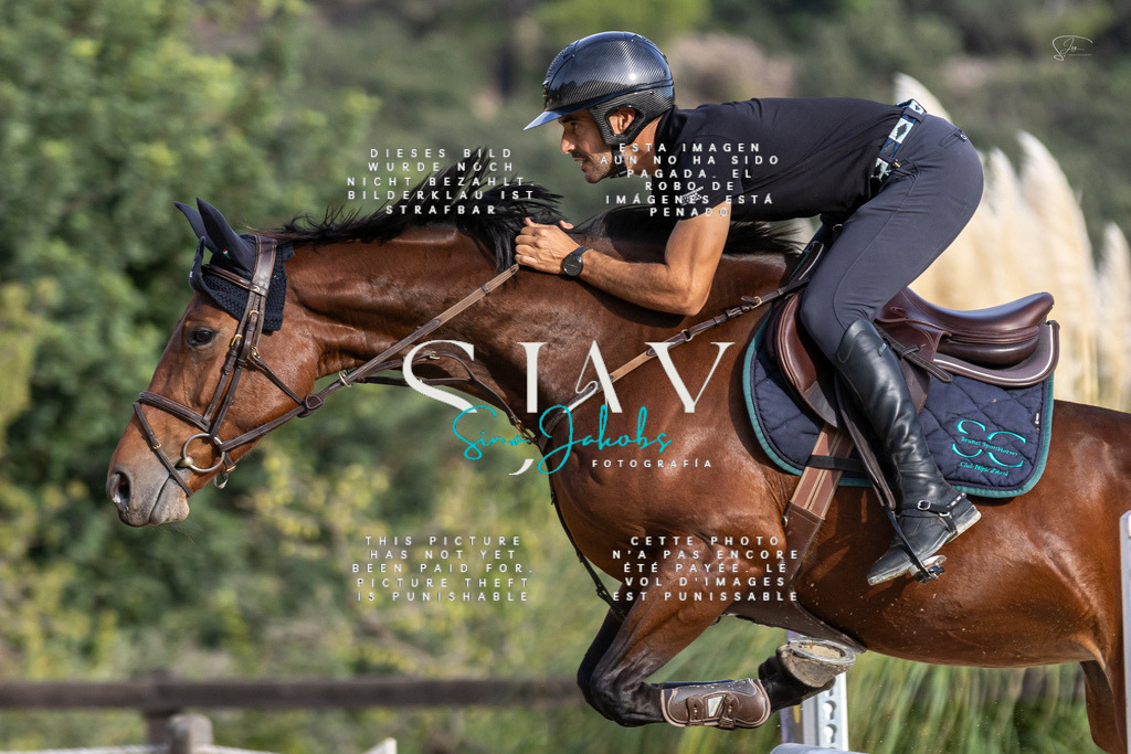 IMG_4359 | s-jay-photography - Realisiert mit Pictrs.com