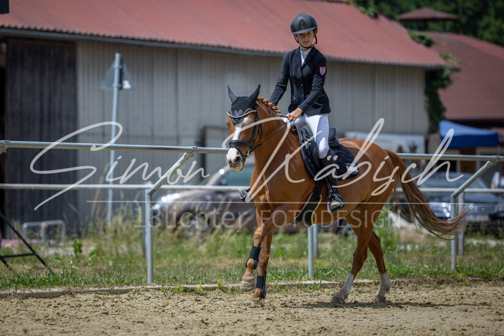 20260704-_3LI8995 | Tierfotografie Pferde, Hunde, Katzen, Haustiere.
Turnierfotografie Reitturniere, Reiten, Springreiten, Dressur in Hanau, dem Main-Kinzig-Kreis und dem Rhein-Main- Gebiet um Frankfurt