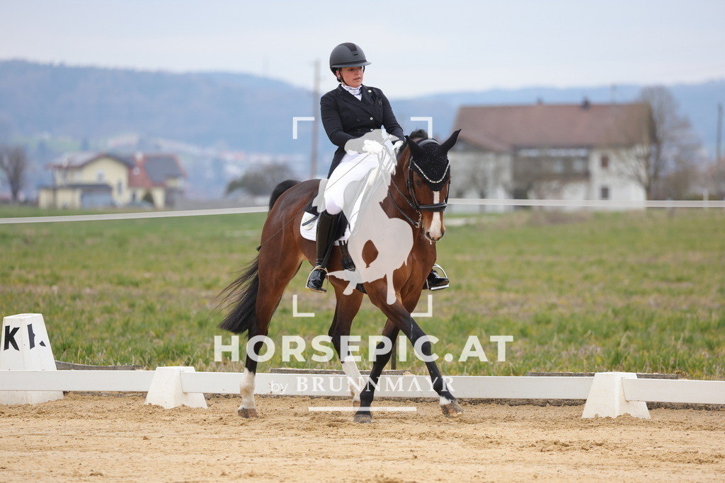 0P6A5223 | Willkommen bei Brunnmayr - Design & Fotografie – Ihrem Spezialisten für Reitturniere und Pferdeveranstaltungen in Oberösterreich, Salzburg und Bayern! Seit über 17 Jahren sind wir leidenschaftlich dabei.