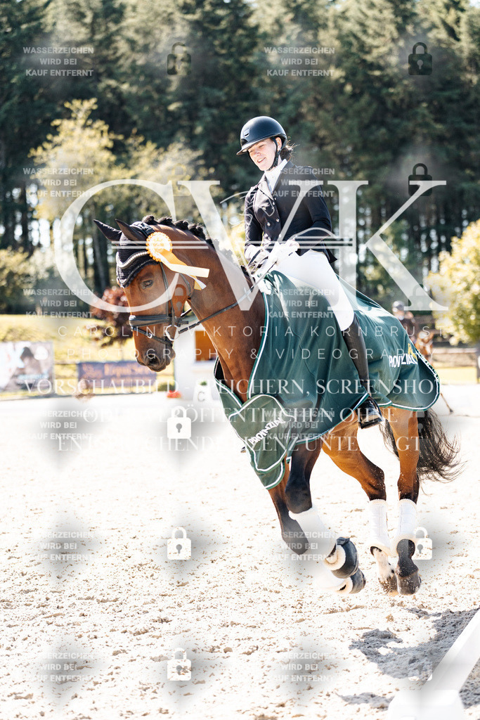 CK904269 | Turnierfotografie Pferdefotografie Trier Rheinland-Pfalz Pferdesport Reitsport Tierfotografie Sportfotografie Pferdevideo Pferdevideografie Equestrianvideography equestrianphotography  - Realisiert mit Pictrs.com