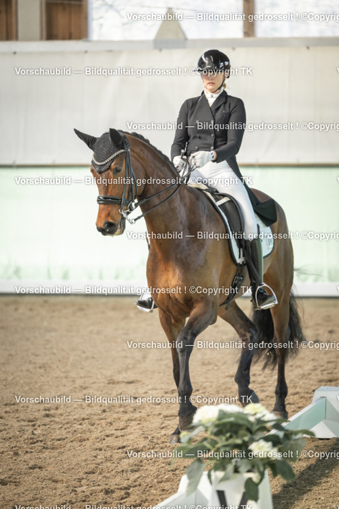 _D5A4814 | Emotionale Pferde- & People-Fotografie rund um Heidelberg, Leimen & Umgebung. Natürliche Fotos von Pferd, Mensch & Familie. Jetzt Termin sichern!