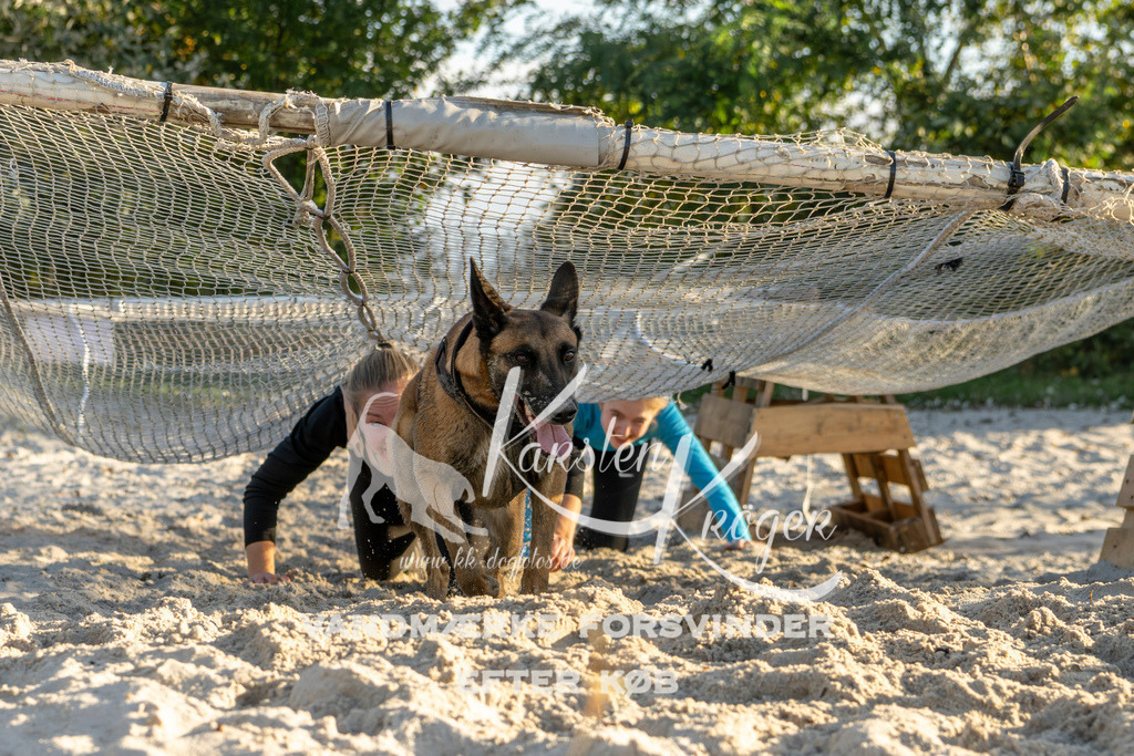 1653_ZZ90184 | kk-dogfotos