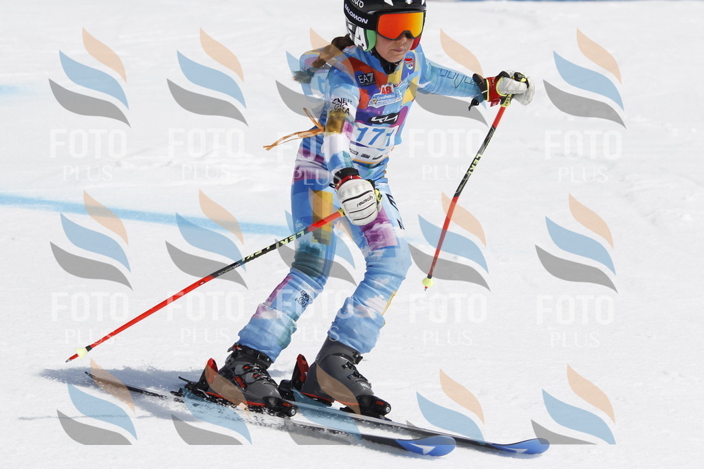 _U3G1573 | holidayphoto