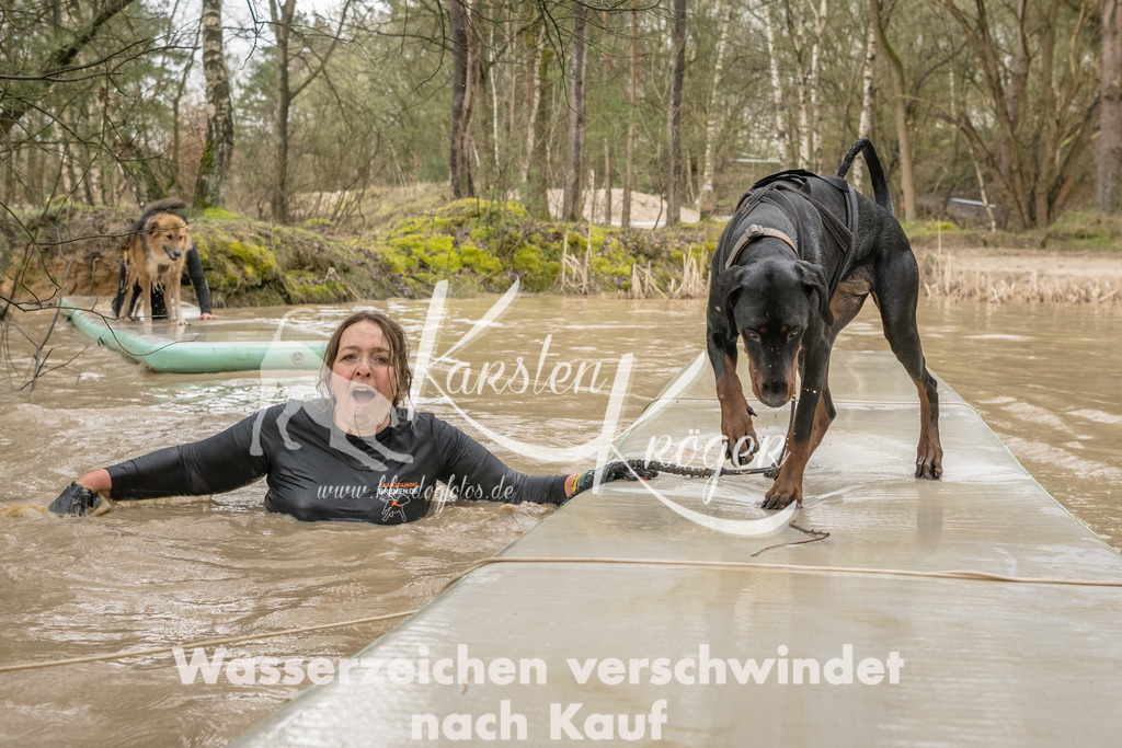1331_ZZ90855-Bearbeitet | kk-dogfotos
