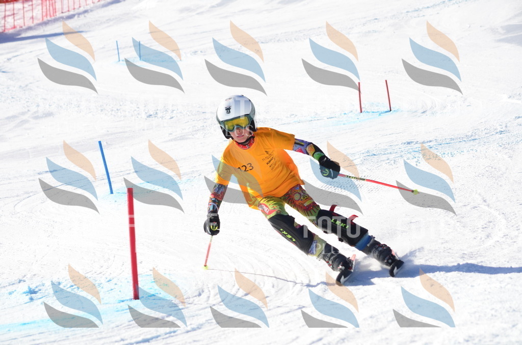 C6375 | holidayphoto