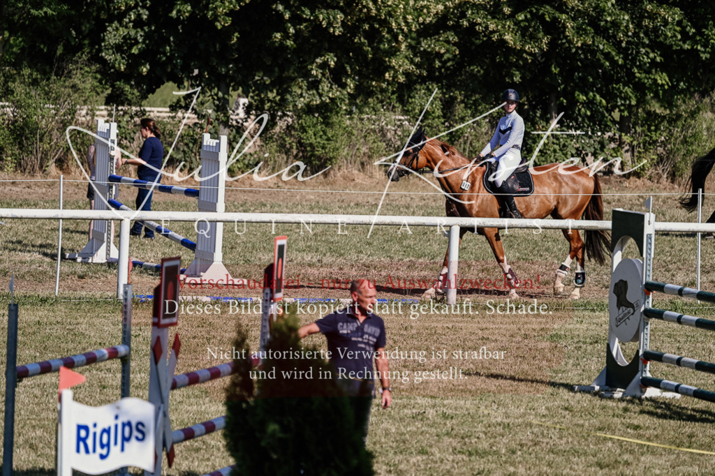DSC_2005 | Pferde- und Turnierfotografie in Westsachsen. Pferdeportraits, Auftragszeichnungen und intuitive Kunst.