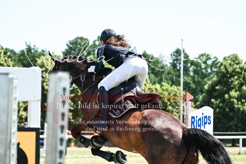 DSC_0450 | Pferde- und Turnierfotografie in Westsachsen. Pferdeportraits, Auftragszeichnungen und intuitive Kunst.