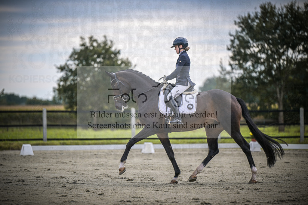 DOS_1312 | Entdecke hochwertige Reitturnierfotos von Foto Oger. Professionell, emotional und authentisch – jetzt Lieblingsmomente im Shop bestellen.Deutschlandweite Turnierfotografie. - Realisiert mit Pictrs.com