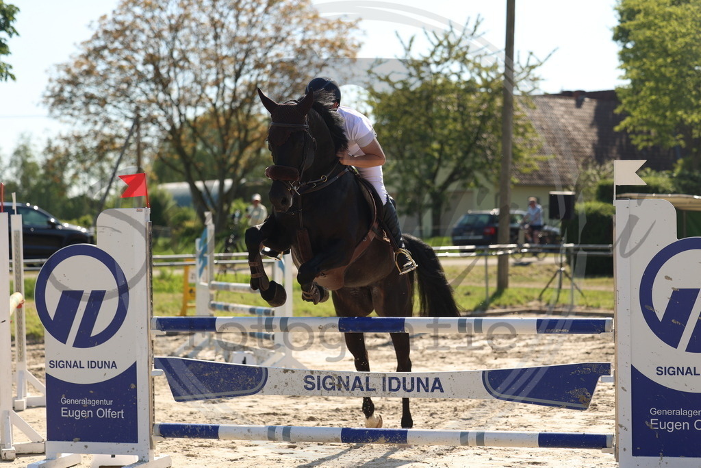 994A6154 | sabrinanicolaifotografie - Realisiert mit Pictrs.com