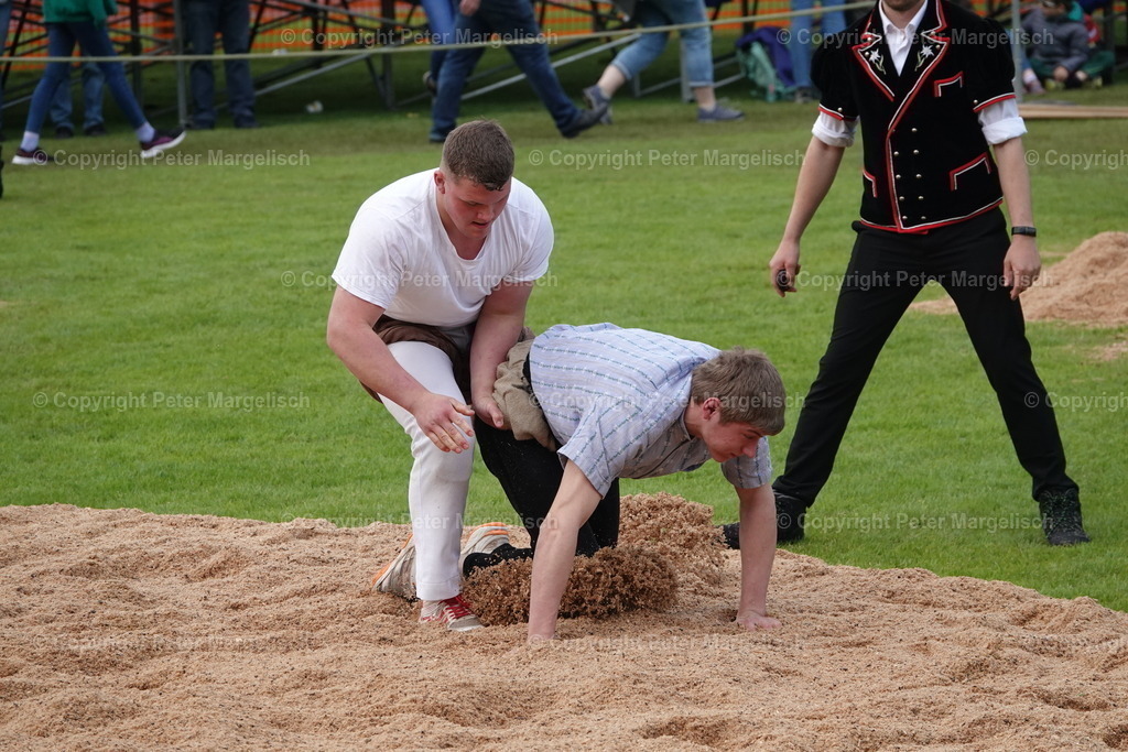 DSC04026 | Schwingen - Realisiert mit Pictrs.com