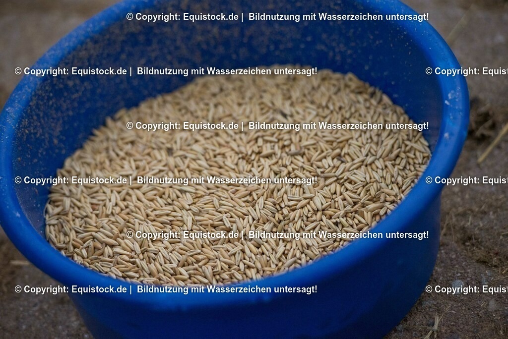 20170118_Hafer_0003 | Foto: Thomas Hartig