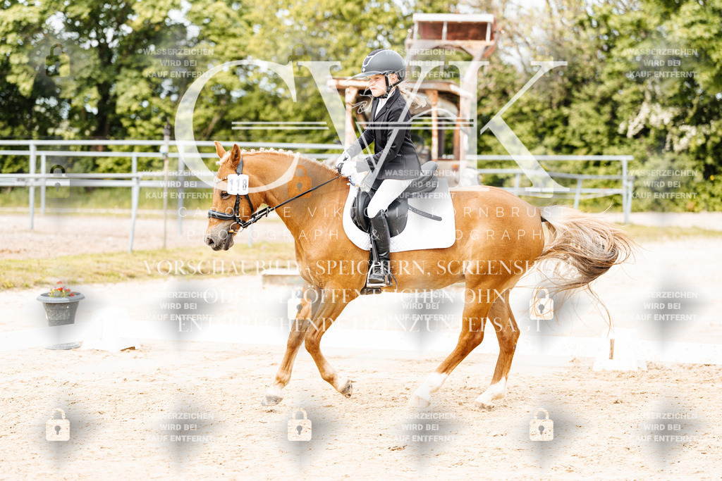 CK904654 | Turnierfotografie Pferdefotografie Trier Rheinland-Pfalz Pferdesport Reitsport Tierfotografie Sportfotografie Pferdevideo Pferdevideografie Equestrianvideography equestrianphotography  - Realisiert mit Pictrs.com
