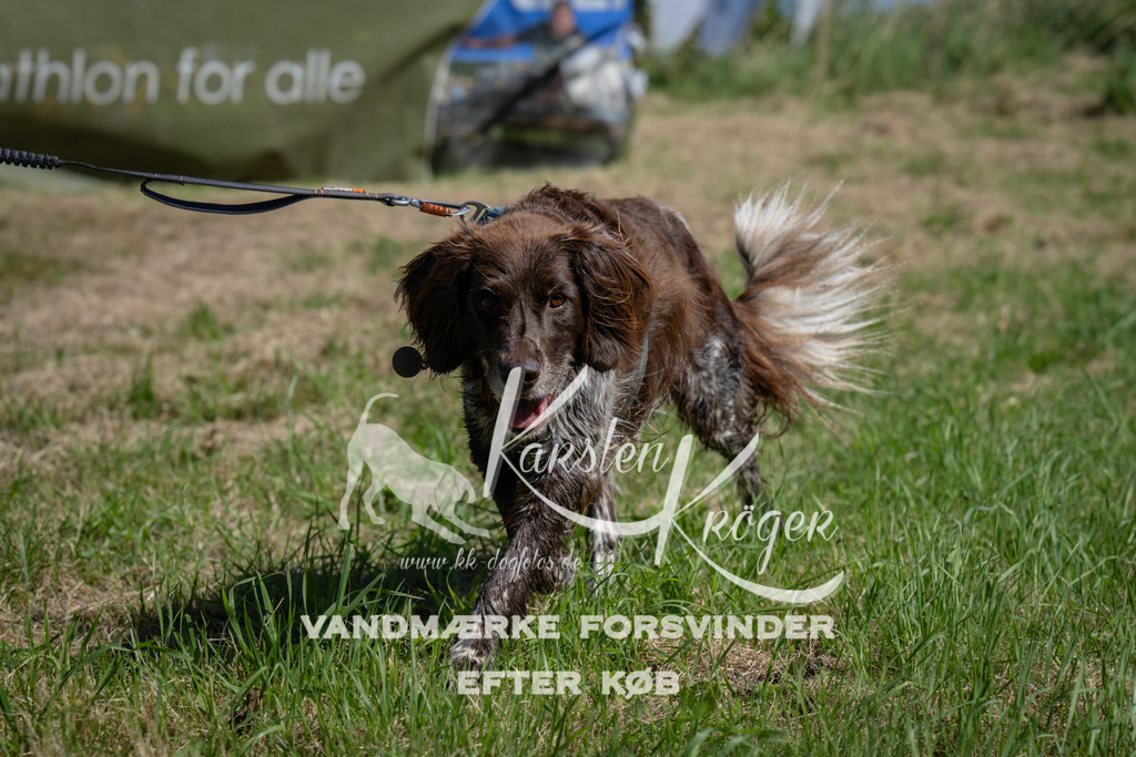 1150_ZZ92600 | kk-dogfotos