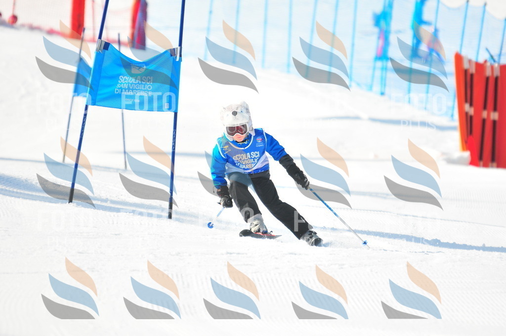 B8834 | holidayphoto