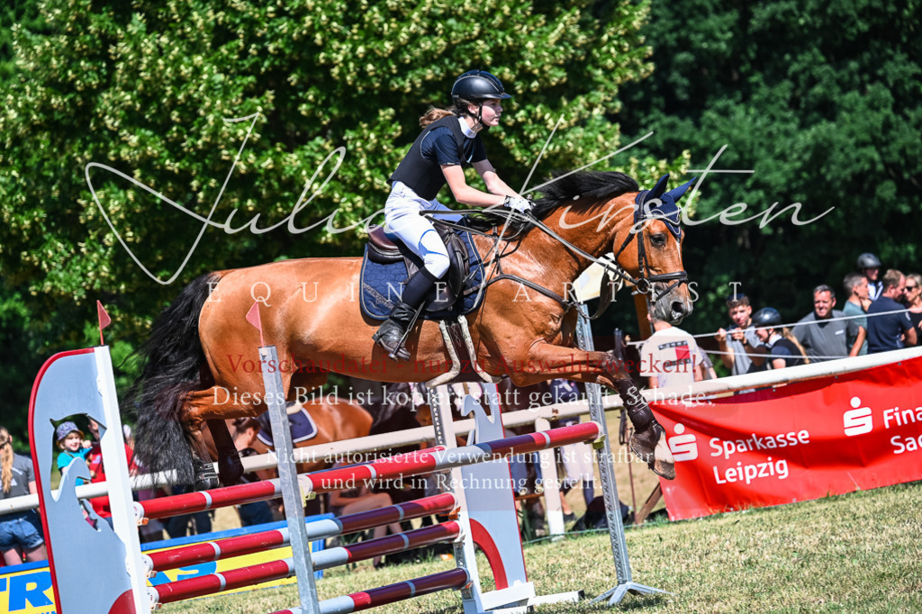 DSC_1479 | Pferde- und Turnierfotografie in Westsachsen. Pferdeportraits, Auftragszeichnungen und intuitive Kunst.
