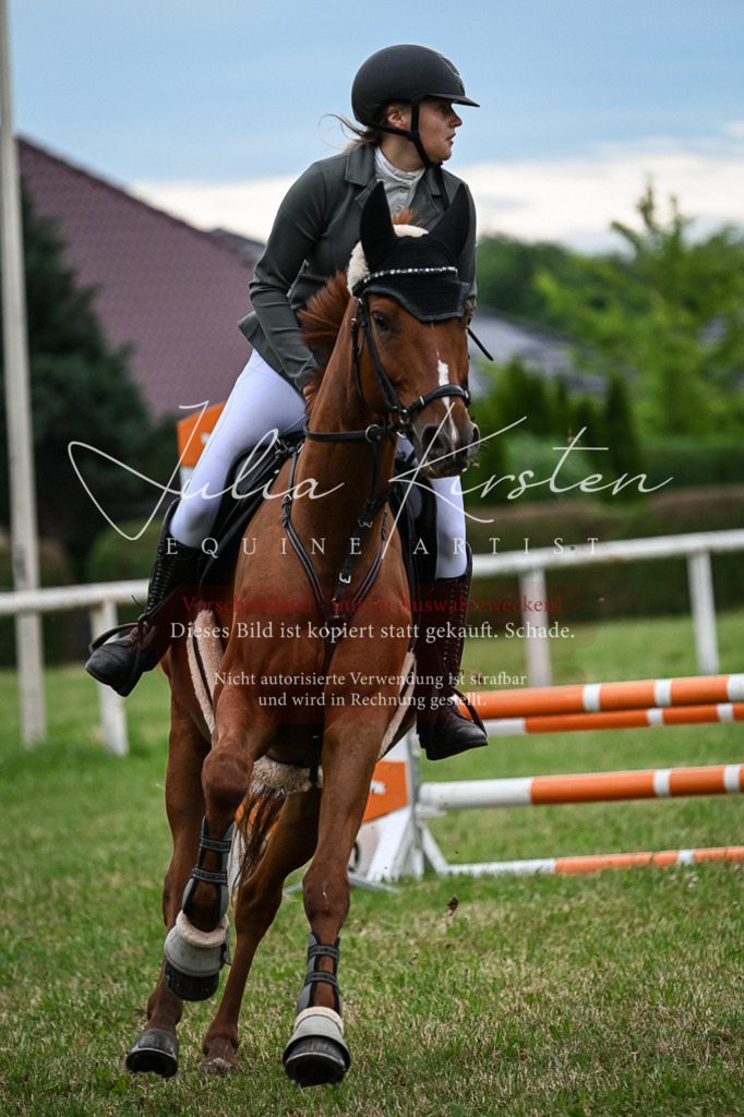 DSC_8450 | Pferde- und Turnierfotografie in Westsachsen. Pferdeportraits, Auftragszeichnungen und intuitive Kunst.