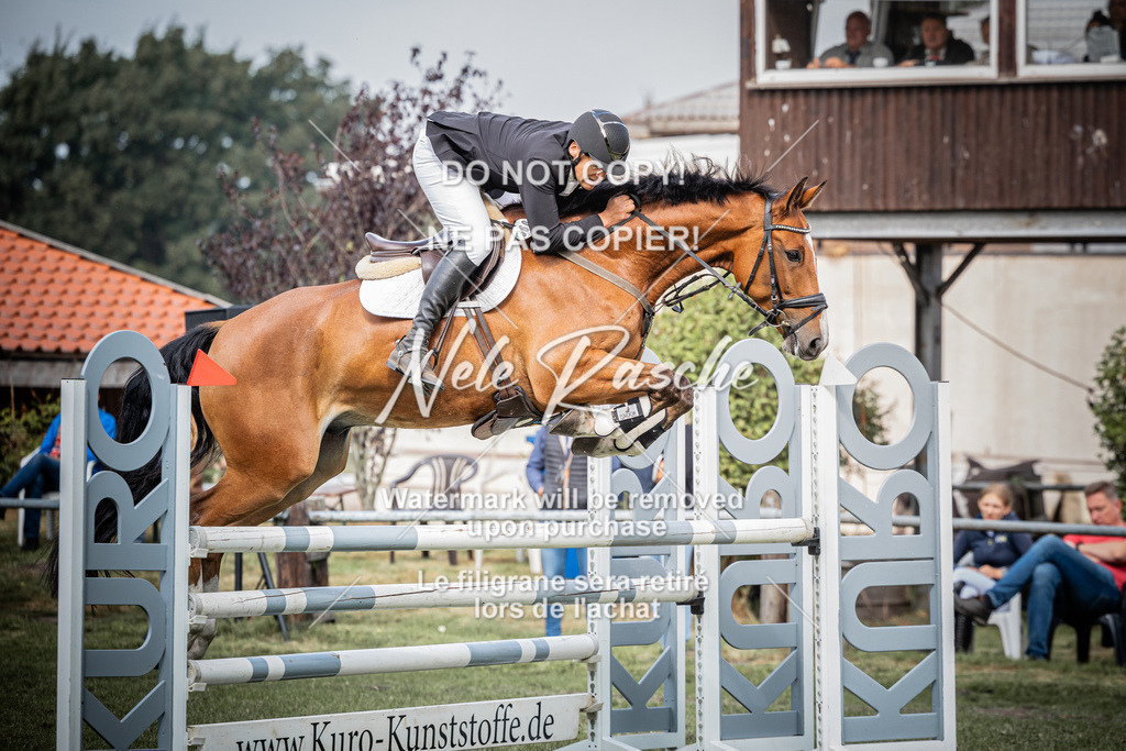nelerasche_SprL__110Ede_57 | nelerasche