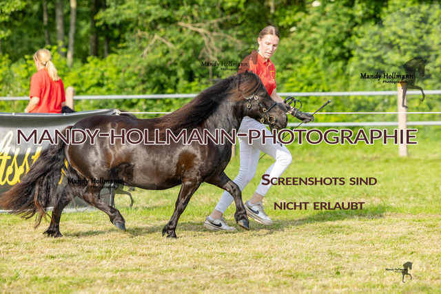RR 2 (198 von 818) | mandyhollmannphotographie