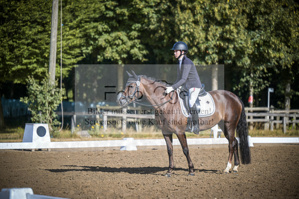 DOS_0704 | Entdecke hochwertige Reitturnierfotos von Foto Oger. Professionell, emotional und authentisch – jetzt Lieblingsmomente im Shop bestellen.Deutschlandweite Turnierfotografie. - Realisiert mit Pictrs.com