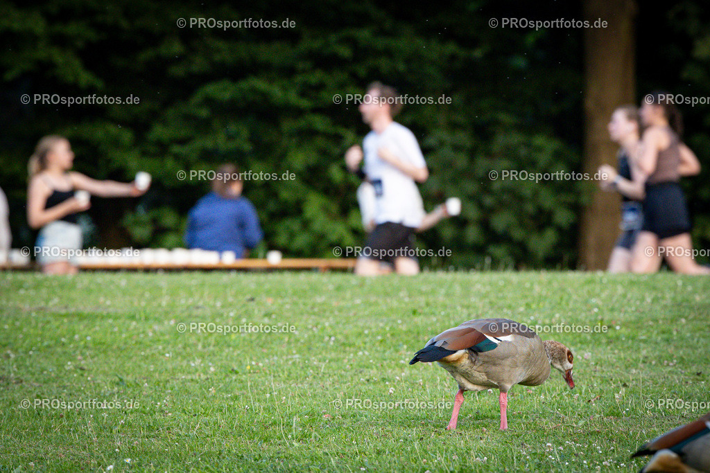Sparda-Bank Nachtlauf Bonn; Bonn, 18.06.2025 | Impressionen vom Sparda-Bank Nachtlauf Bonn am 18.06.2025 in Bonn (Nordrhein-Westfalen). 
