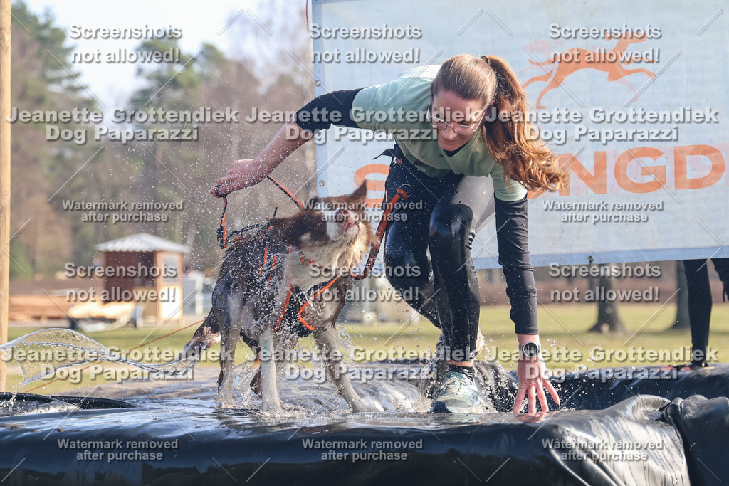 Dog Paparazzi - Strongdog North Mrz26-823 | Dog Paparazzi Jeanette Grottendiek Fotografie & Videografie - Realisiert mit Pictrs.com