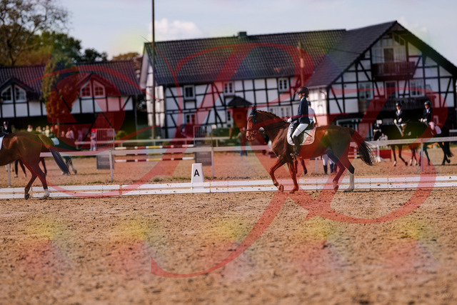 2026_10_03_Siefer-Hof_133145_Z81_86350776 | Professionelle Reitsport-, Turnier- und Eventfotografie von Robert Broda. Galerien mit ausgewählten und bearbeiteten Bildern direkt online ansehen und bestellen.