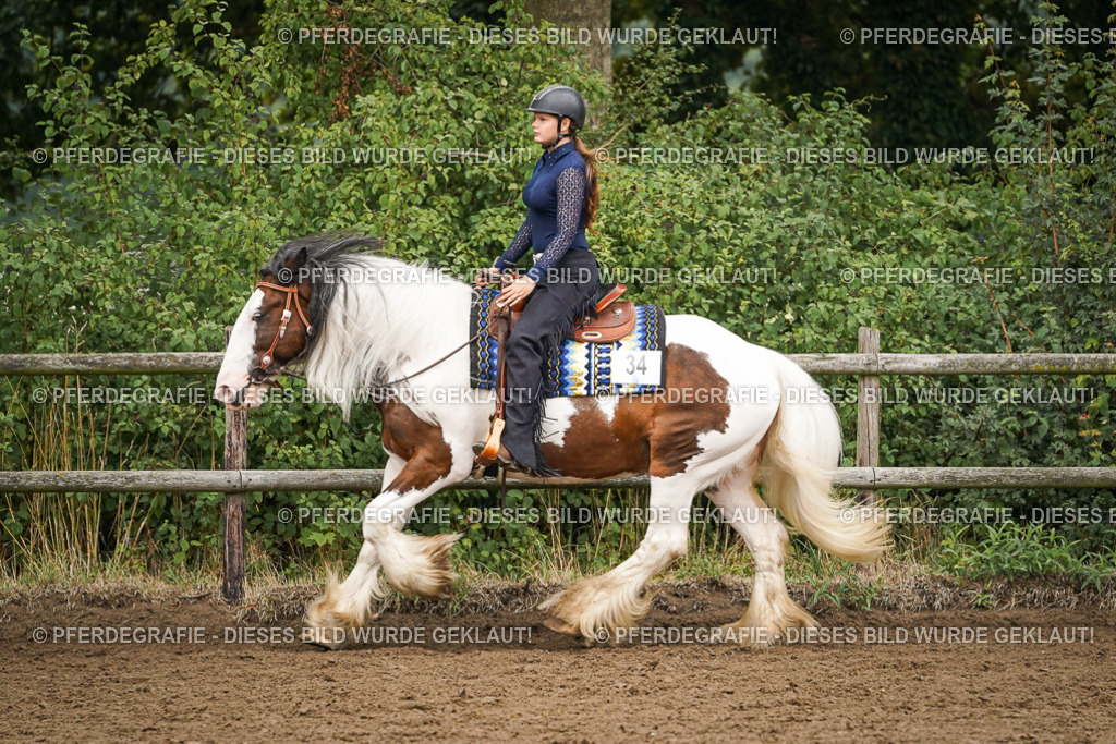 DSC01916 | Pferdegrafie