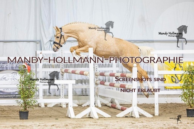 43 (23 von 43) | mandyhollmannphotographie