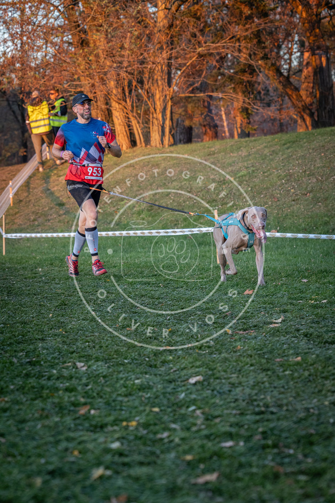 CaniXpix_0L8A2067 | Hundefotografie, Tierfotograf, Pfotenfotografie, Fotoshooting Hund, Hunde Portrait, Hundesport, Hundeportraits, Heideshooting, Hunde, Sportfotograf, Hundefotograf, Turnierhundsport, THS,  - Realisiert mit Pictrs.com