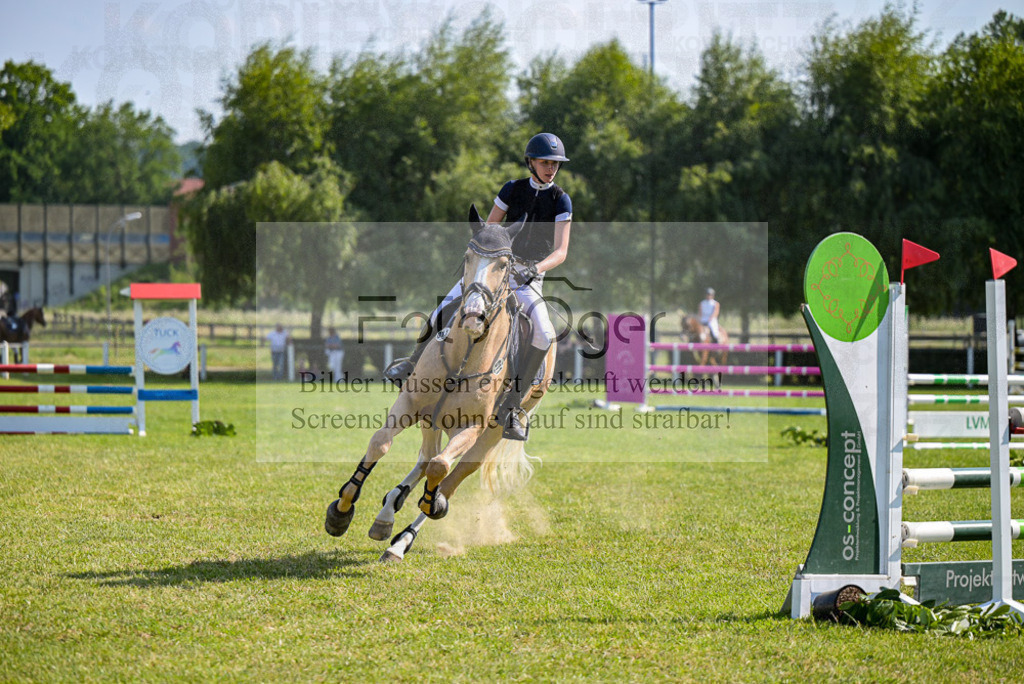 Reitturnier Voxtrup | Entdecke hochwertige Reitturnierfotos von Foto Oger. Professionell, emotional und authentisch – jetzt Lieblingsmomente im Shop bestellen.Deutschlandweite Turnierfotografie. - Realized with Pictrs.com