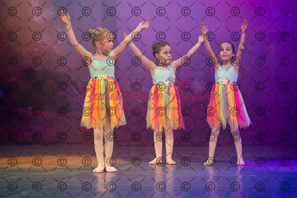 Ballettaufführung-1262 | Bildershop Lem'n Entertainment - Realisiert mit Pictrs.com