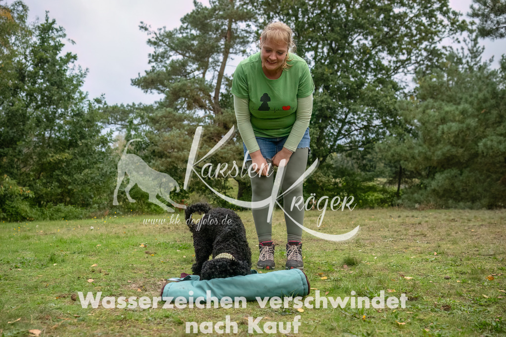 1702_ZZ90805-3-Bearbeitet | kk-dogfotos
