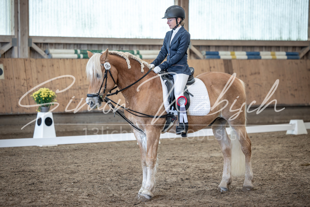 20251011-_3LI8497 | Tierfotografie Pferde, Hunde, Katzen, Haustiere.
Turnierfotografie Reitturniere, Reiten, Springreiten, Dressur in Hanau, dem Main-Kinzig-Kreis und dem Rhein-Main- Gebiet um Frankfurt