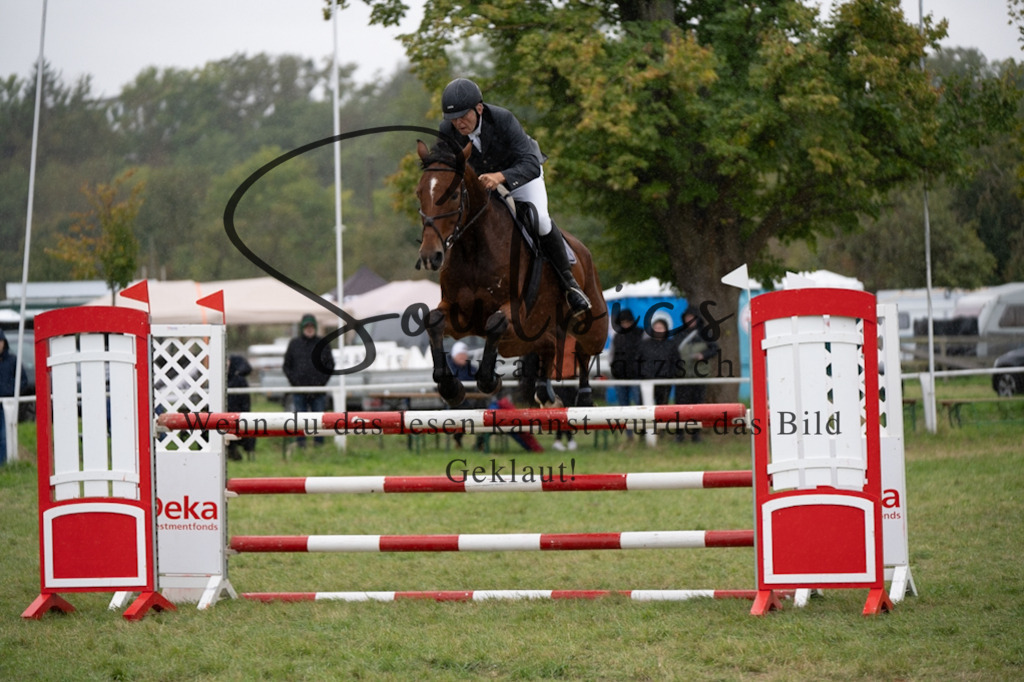 A7V07461 | Pferdefotograf