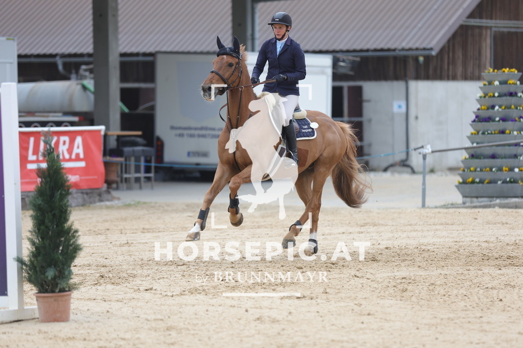 0P6A3844 | Willkommen bei Brunnmayr - Design & Fotografie – Ihrem Spezialisten für Reitturniere und Pferdeveranstaltungen in Oberösterreich, Salzburg und Bayern! Seit über 17 Jahren sind wir leidenschaftlich dabei.