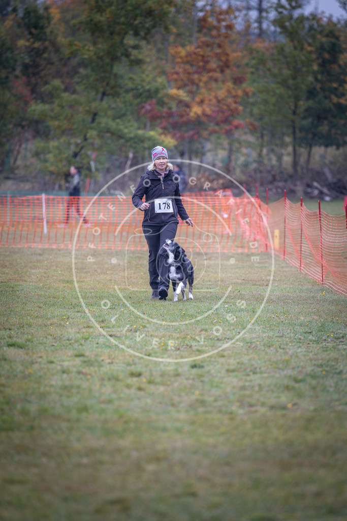 Pfotenfotografie_DV3A9461 | Hundefotografie, Tierfotograf, Pfotenfotografie, Fotoshooting Hund, Hunde Portrait, Hundesport, Hundeportraits, Heideshooting, Hunde, Sportfotograf, Hundefotograf, Turnierhundsport, THS,  - Realisiert mit Pictrs.com