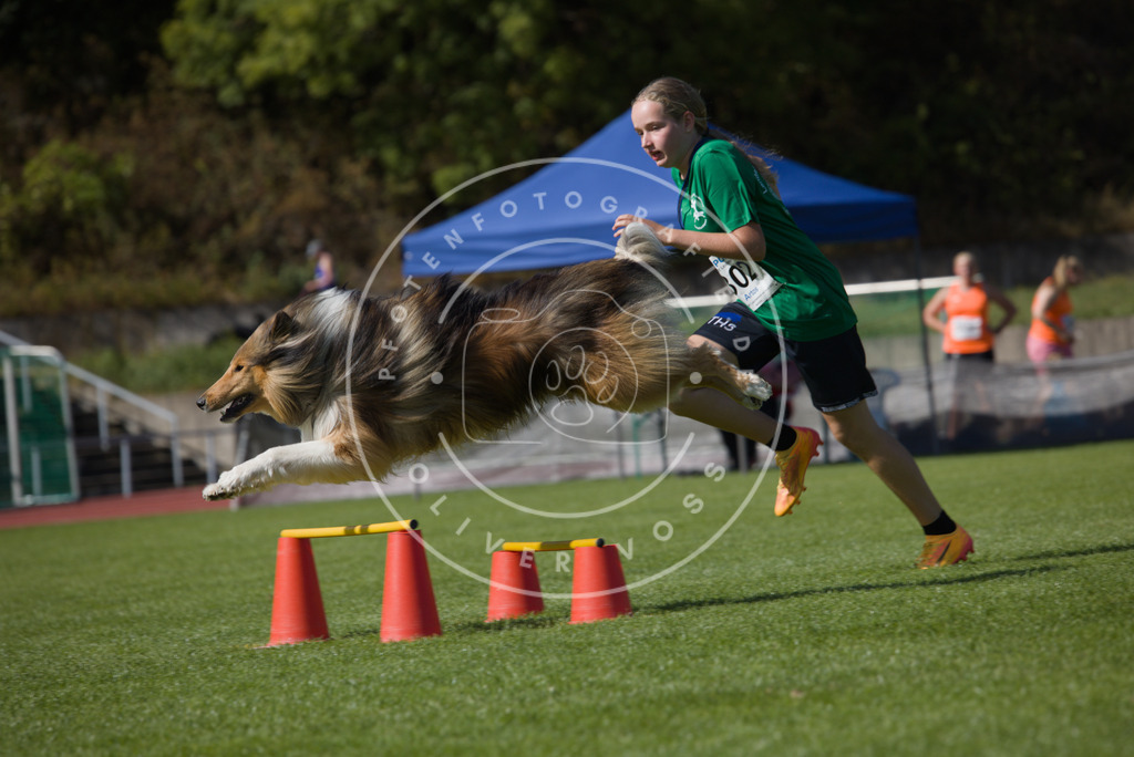 0L8A7707 | Hundefotografie, Tierfotograf, Pfotenfotografie, Fotoshooting Hund, Hunde Portrait, Hundesport, Hundeportraits, Heideshooting, Hunde, Sportfotograf, Hundefotograf, Turnierhundsport, THS,  - Realisiert mit Pictrs.com