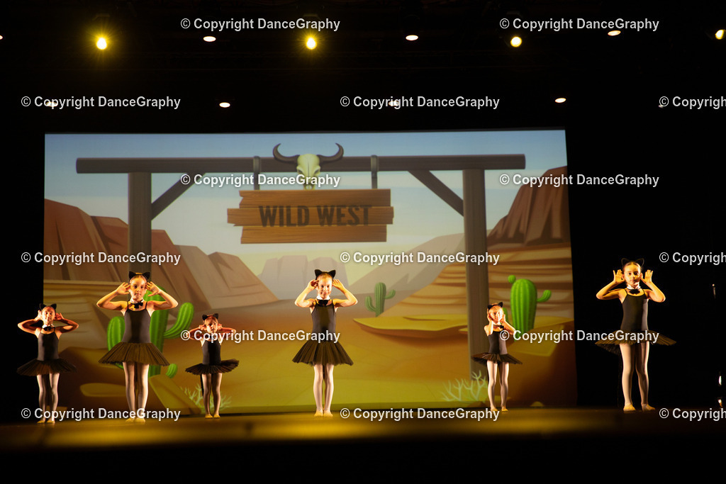 GPHY4235 | DanceGraphy - Realisiert mit Pictrs.com