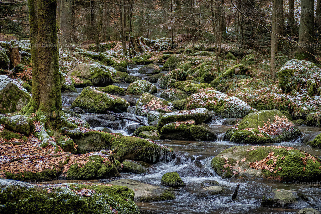 P1660219 | beatekidd-fotografie - Realisiert mit Pictrs.com