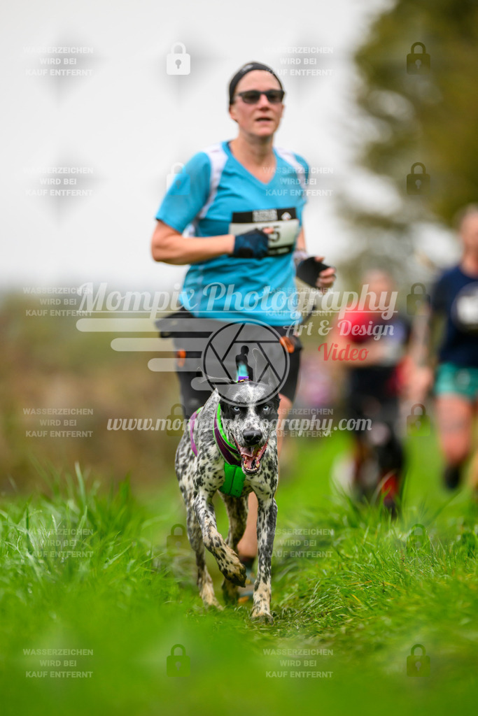 MompixPhotography_20TSB_E8_Run-38 | PayLife