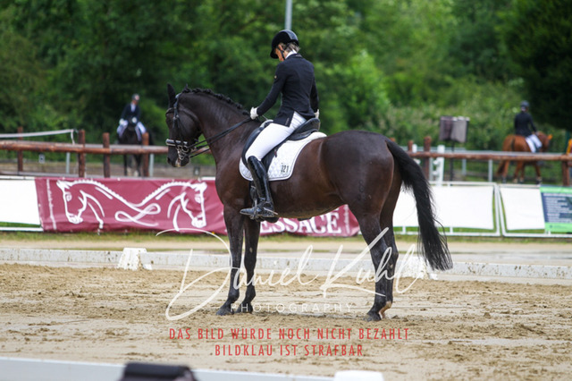 DKP40665 | Turniersportfotografie; Pferdefotografie; Dressurfotografie