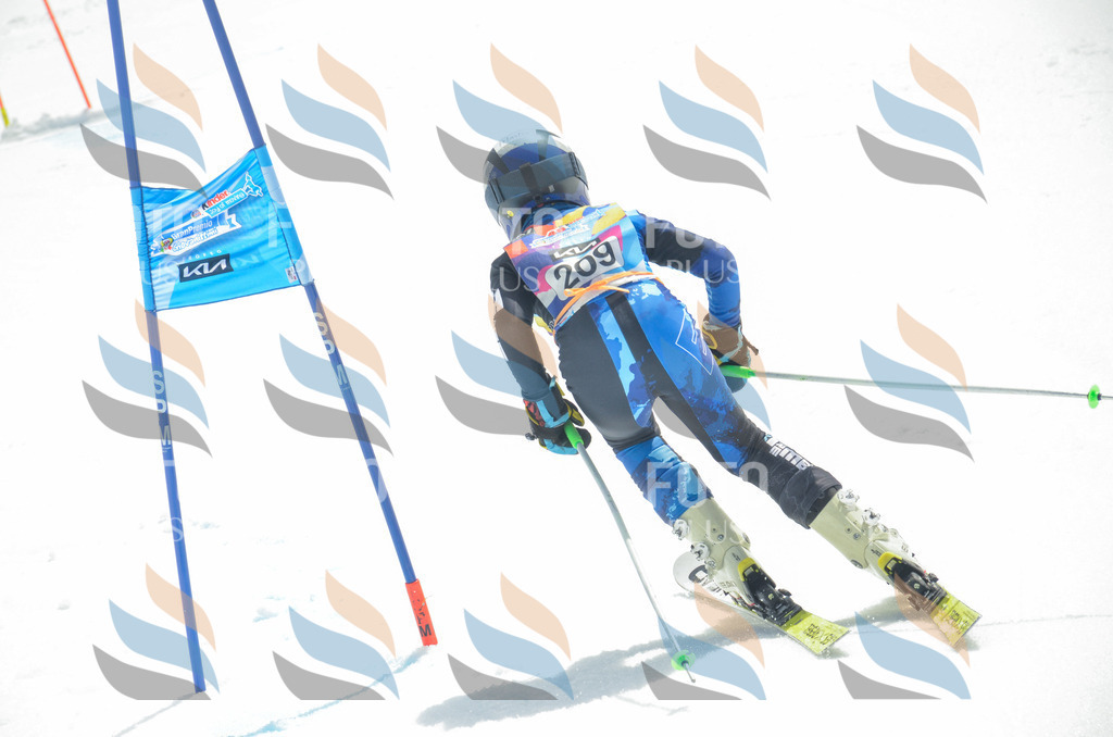 _ELE7025 | holidayphoto