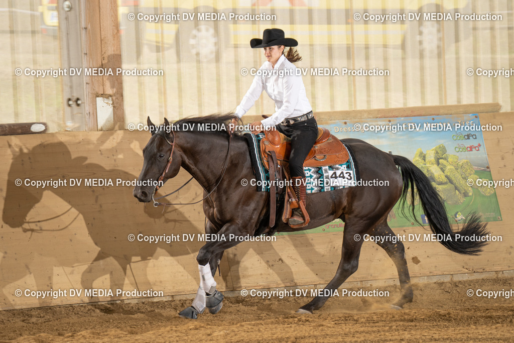 LAU01833 | dv-media-shop - Realisiert mit Pictrs.com