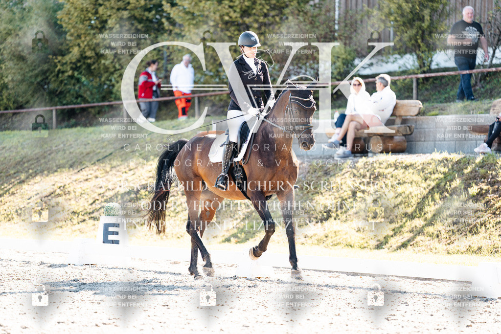 CK908743 | Turnierfotografie Pferdefotografie Trier Rheinland-Pfalz Pferdesport Reitsport Tierfotografie Sportfotografie Pferdevideo Pferdevideografie Equestrianvideography equestrianphotography  - Realisiert mit Pictrs.com