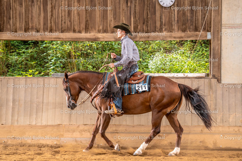 LMS03336 | BS-foto