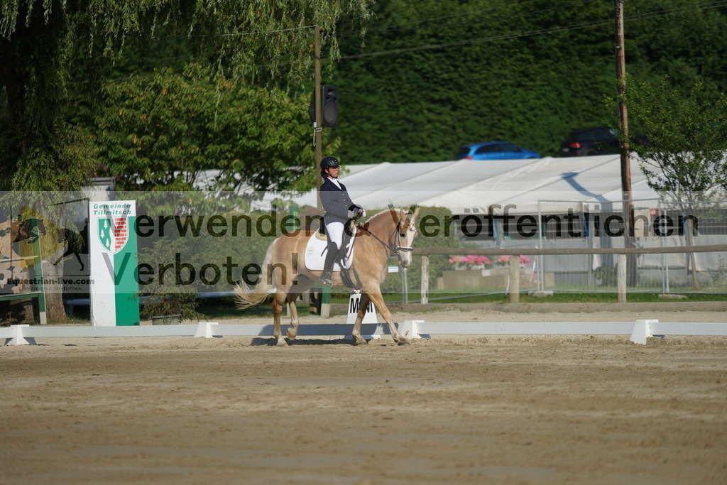 DSC04137 | equestrian-live-com