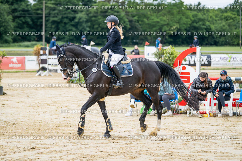 DSC04315 | Pferdegrafie