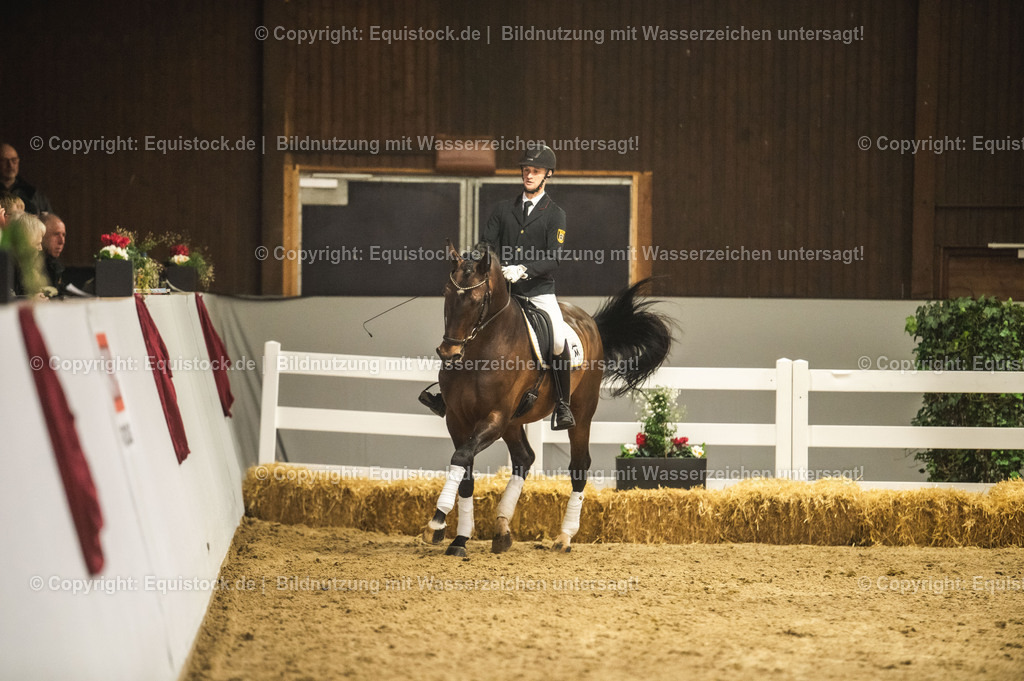 20240302_Hengstvorstellung_Marbach_TOMsPiC_1195 | equistock