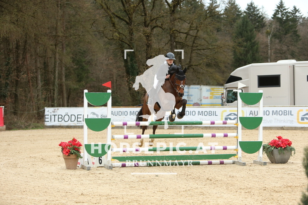 DL2Q3112 | Willkommen bei Brunnmayr - Design & Fotografie – Ihrem Spezialisten für Reitturniere und Pferdeveranstaltungen in Oberösterreich, Salzburg und Bayern! Seit über 17 Jahren sind wir leidenschaftlich dabei.